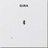 Лицевая панель Gira System 55 для вставки док-станции чисто-белый глянцевый 228803