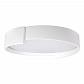 Потолочный светодиодный светильник Loft IT Coin 10200 White - фото №1