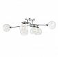 Потолочная люстра Lumion Moderni Ninette 3063/6C - фото №1