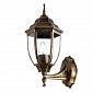Уличный настенный светильник Arte Lamp Pegasus A3151AL-1BN - фото №1