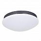 Потолочный светодиодный светильник F-Promo Ledante 2468-2C - фото №1