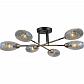 Потолочная люстра Illumico IL0255-6CSQ-79 BK AB - фото №1