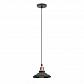 Подвесной светильник ЭРА Loft PL4 BK/RC Б0037438 - фото №1