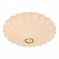 Потолочный светильник Arte Lamp Cocoon A6090PL-2WH - фото №2