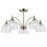 Потолочная люстра Evoluce Nuele SLE104402-05