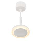 Подвесной светодиодный светильник Denkirs DK4022-WH