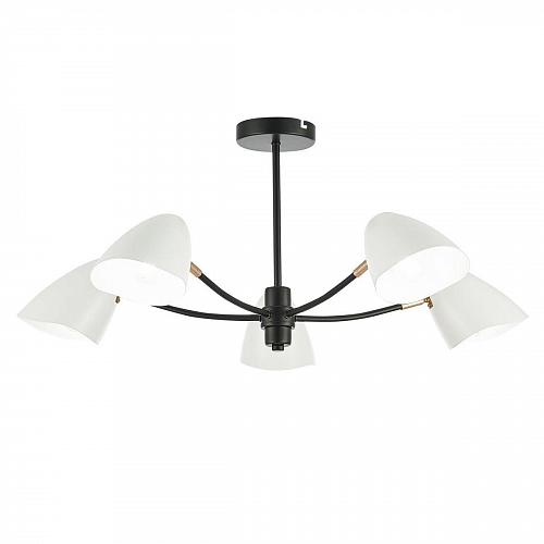 Потолочная люстра Evoluce Satta SLE103602-05