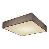 Потолочный светодиодный светильник Globo Sanna 15585D3