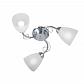 Потолочная люстра Vitaluce V3886-9/3PL - фото №4