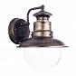 Уличный настенный светильник Arte Lamp Amsterdam A1523AL-1BN - фото №1