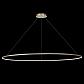 Подвесной светодиодный светильник ST Luce Erto SL904.243.01 - фото №2