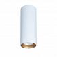 Потолочный светильник TopDecor Tubo8 P2 10 G - фото №1