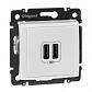 Розетка USB двойная Legrand Valena 240V/5V 2400mA белая 770470 - фото №1