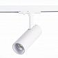 Трековый светодиодный светильник ST Luce Mono ST350.536.10.24 - фото №1