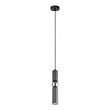 Подвесной светильник Lussole Loft Truman LSP-8572
