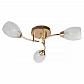 Потолочная люстра Toplight Lucy TL7120X-03FG - фото №1