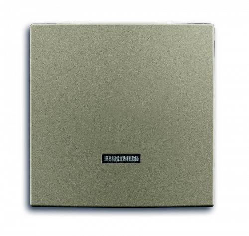 Лицевая панель ABB Basic55 диммера с подсветкой шампань 2CKA006599A2993