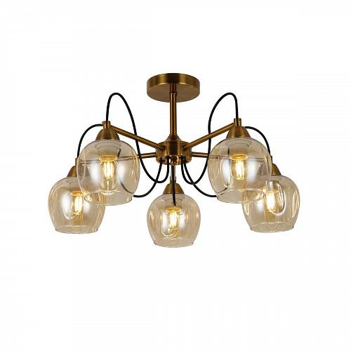 Потолочная люстра Evoluce Acro SLE110002-05