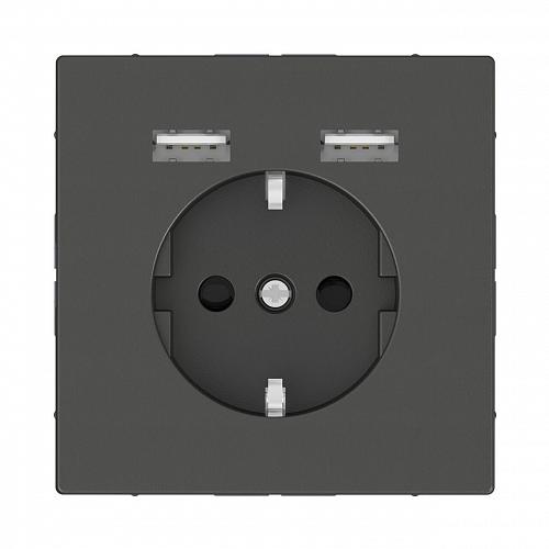 Розетка компьютерная USBx2 Schneider Electric Merten D-Life MTN2366-6034