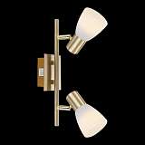 Спот Globo 54538-2