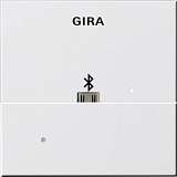 Лицевая панель USB Mikro-B Gira System 55 для вставки док-станции чисто-белый шелковисто-матовый 228503