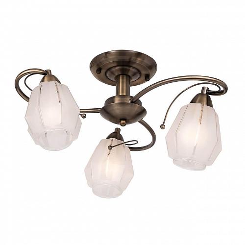 Потолочная люстра Silver Light Brazil 506.53.3