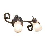 Спот Citilux CL513521