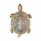 Настенный светодиодный светильник Favourite Turtle 2254-1W - фото №1