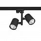 Трековый светильник Crystal Lux CLT 0.31 001 60C2 BL - фото №1