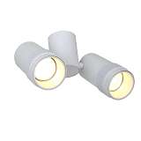 Спот Favourite 2453-2U