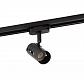 Трековый светильник Denkirs DK6007-BK - фото №1