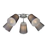 Люстра Evoluce SLE103002-05