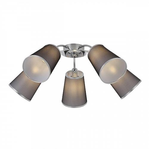 Потолочная люстра Evoluce Maleonte SLE103002-05