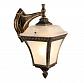 Уличный настенный светильник Arte Lamp Memphis A3161AL-1BN - фото №1