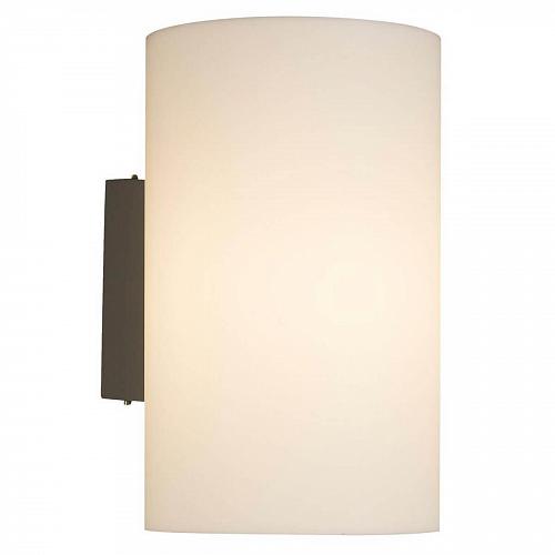 Уличный настенный светильник Maytoni Camden O008WL-01S