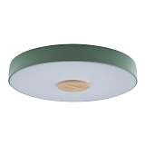 Потолочный светодиодный светильник Loft IT Axel 10003/24 green