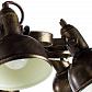 Потолочная люстра Arte Lamp Martin A5216PL-8BR - фото №2