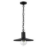 Светильник Odeon Light 4833/1