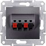 Розетка Schneider Electric SDN5400170