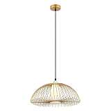 Светильник Favourite 2372-1P