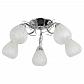 Потолочная люстра Toplight Alexia TL3640X-05CH - фото №1