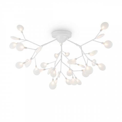 Потолочная люстра Freya Florencia FR5049CL-36W1