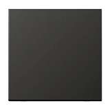 Накладка Jung AL1561.07AN