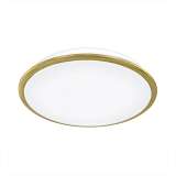 Светильник Citilux CL70342