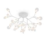 Потолочная люстра Freya Florencia FR5049CL-27W1
