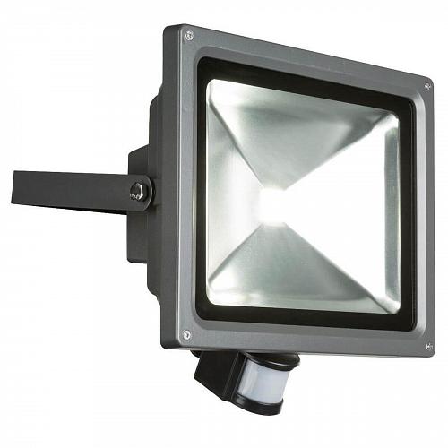 Прожектор светодиодный Globo Projecteur 50W 34117S