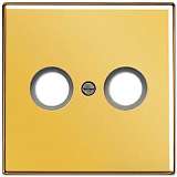 Накладка Jung LS990TVGGO