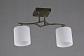 Потолочная люстра Omnilux Pisticci OML-55317-02 - фото №4