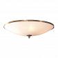 Потолочный светильник Citilux Белый CL912500 - фото №1