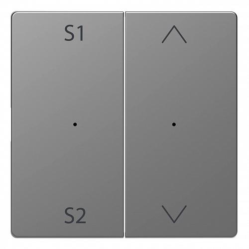 Клавиша двойная Schneider Electric Merten D-Life MTN5227-6036